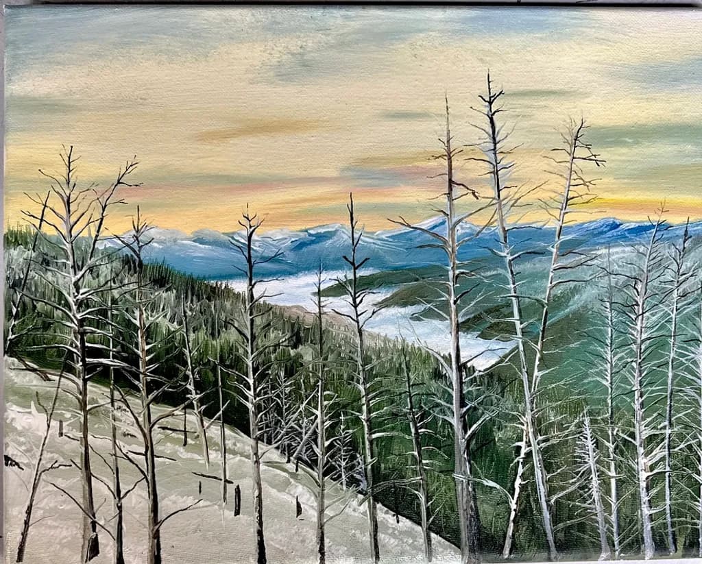 Mountain Forest Vista