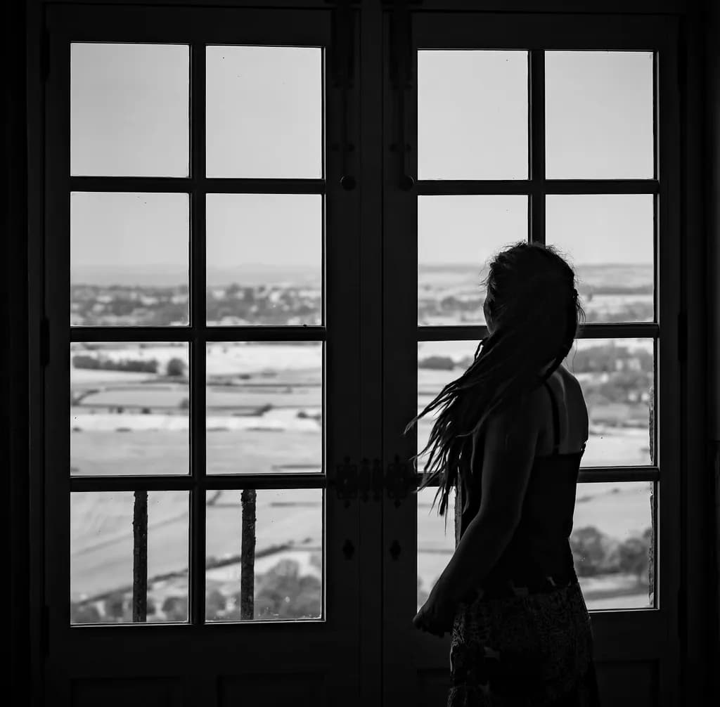 Window View Silhouette