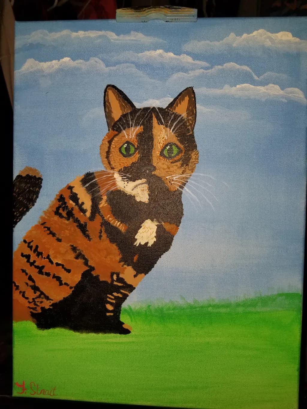 Calico Cat Outdoors