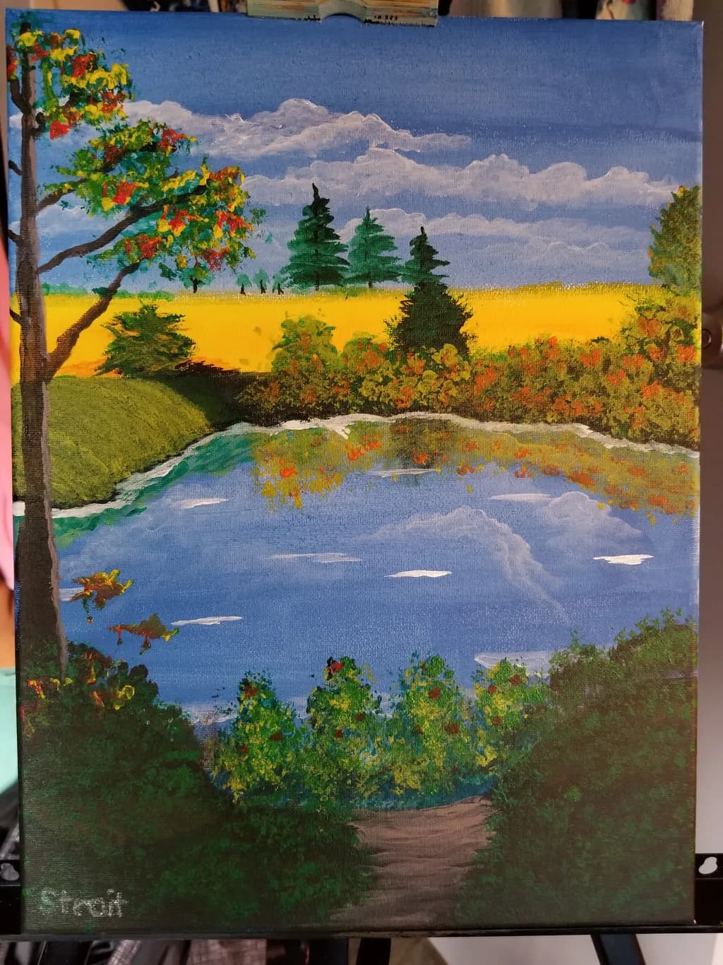Garden Pond Reflection