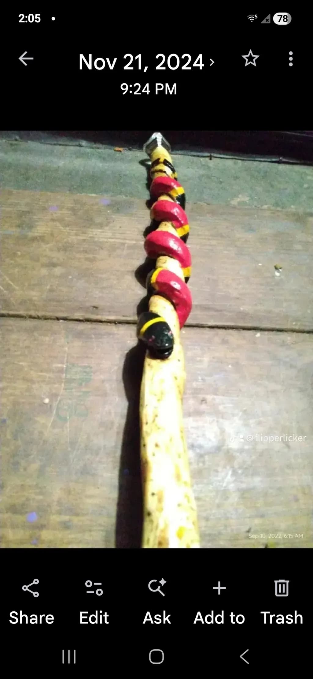Painted Wooden Stick