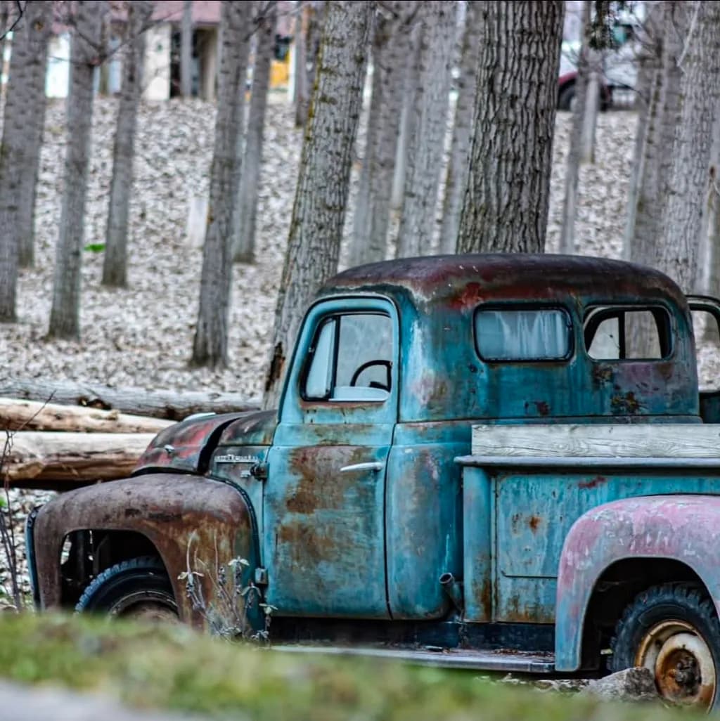 Rusty Vintage Truck in Forest
