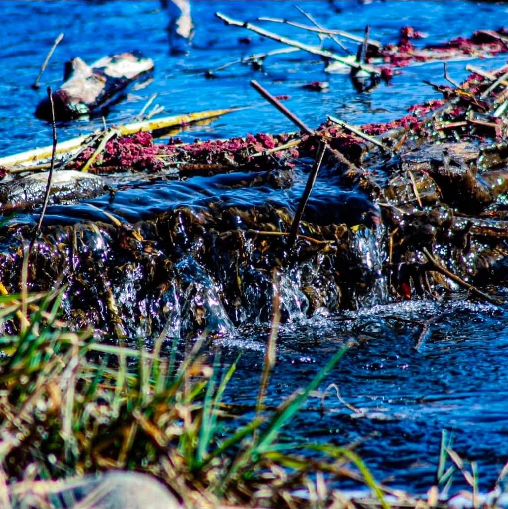 Stream Flow with Debris