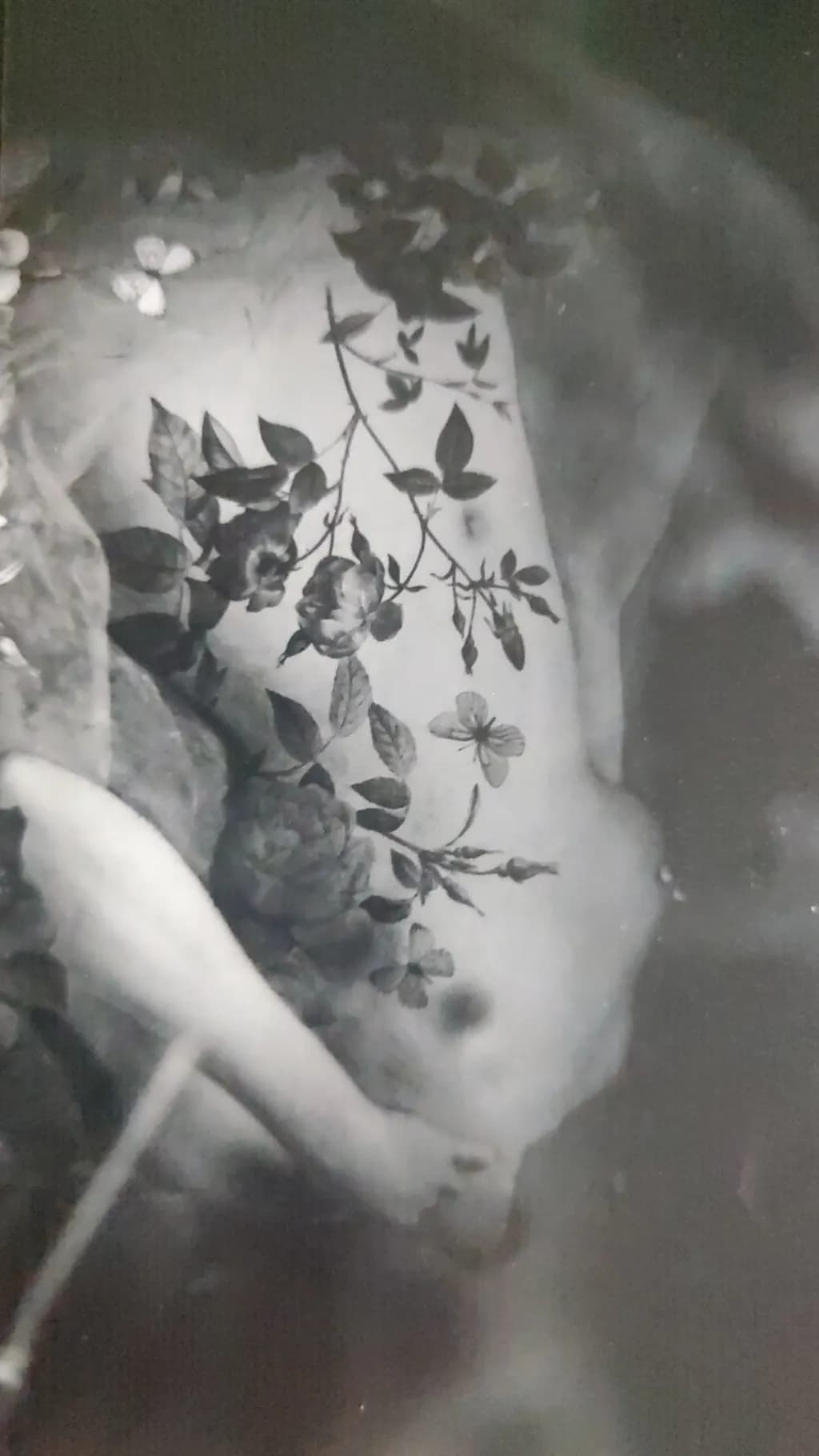 Floral Silhouette