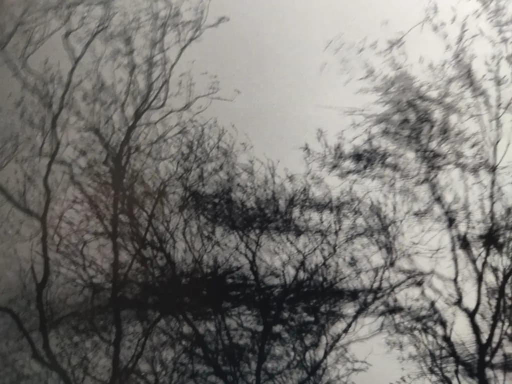 Inbound Shadows