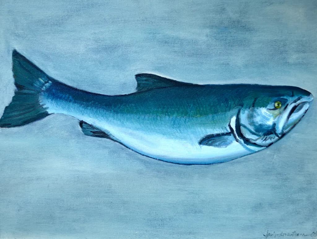 Coho Salmon Sekiu