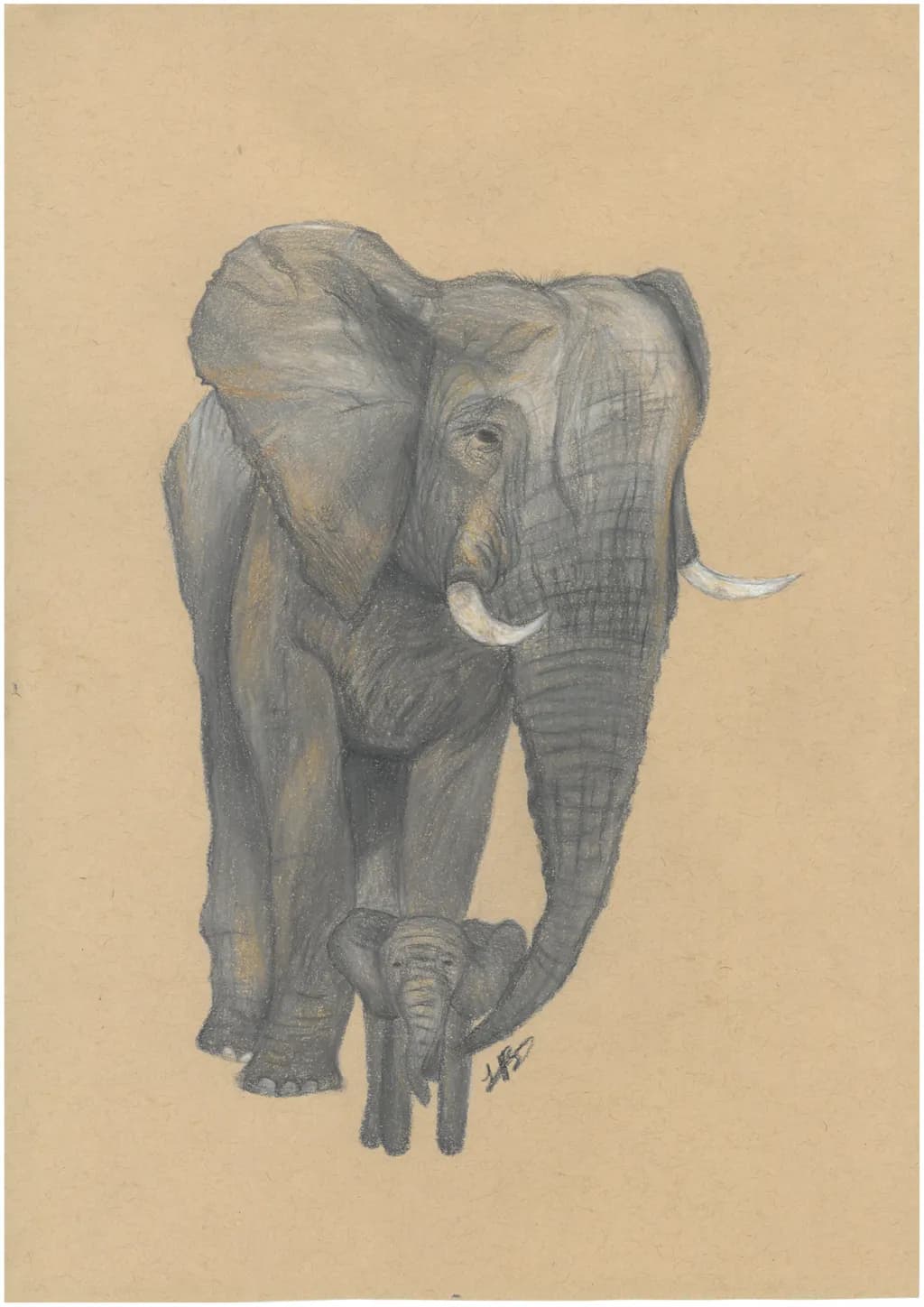 Elephant Bond