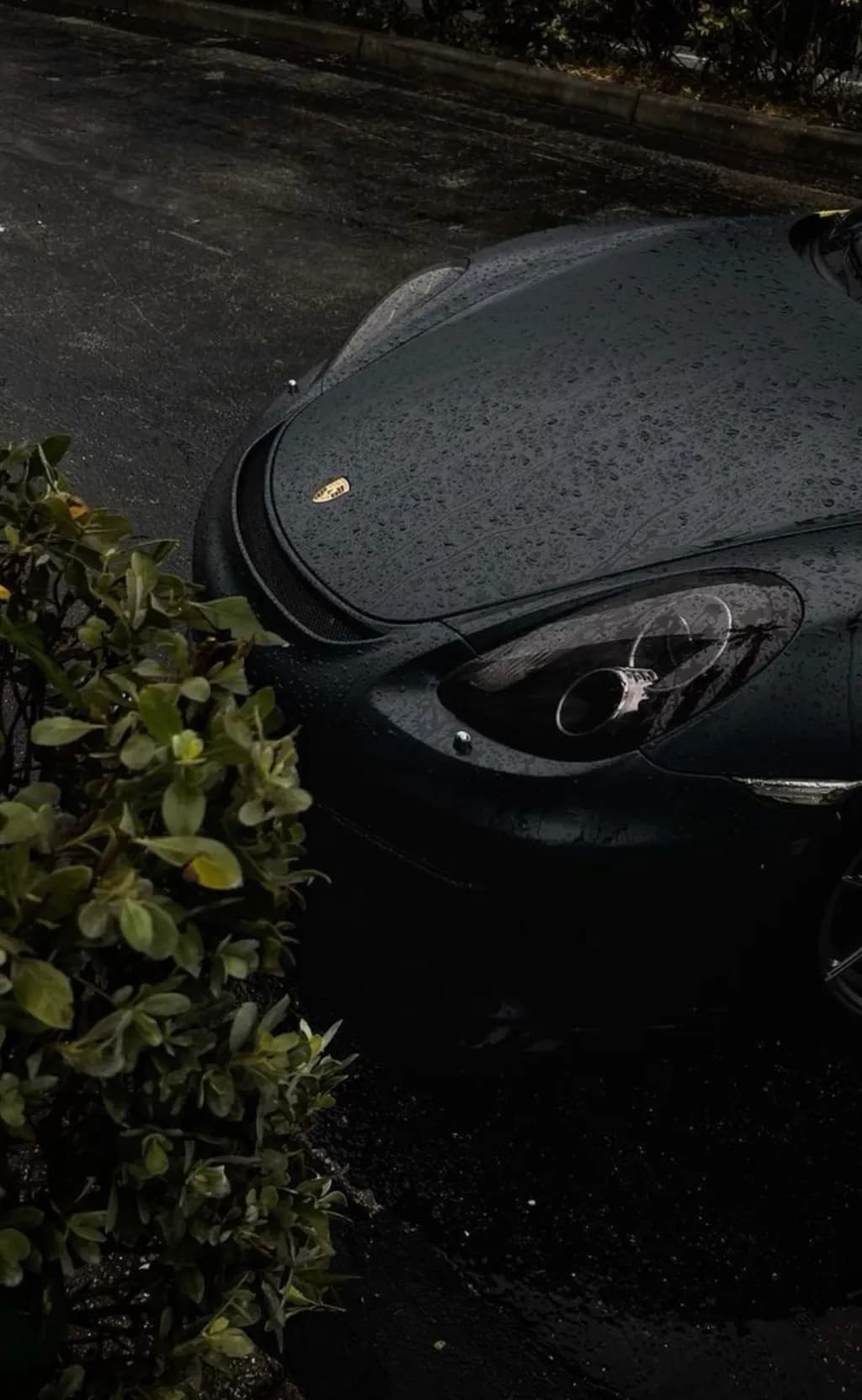 Rain-Soaked Porsche Front