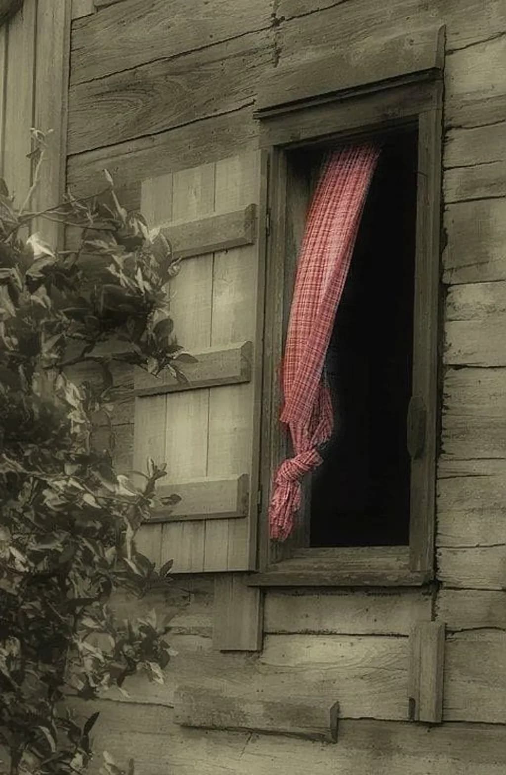 Window Curtain Contrast