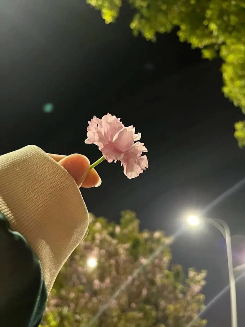 Night Blossom Hand