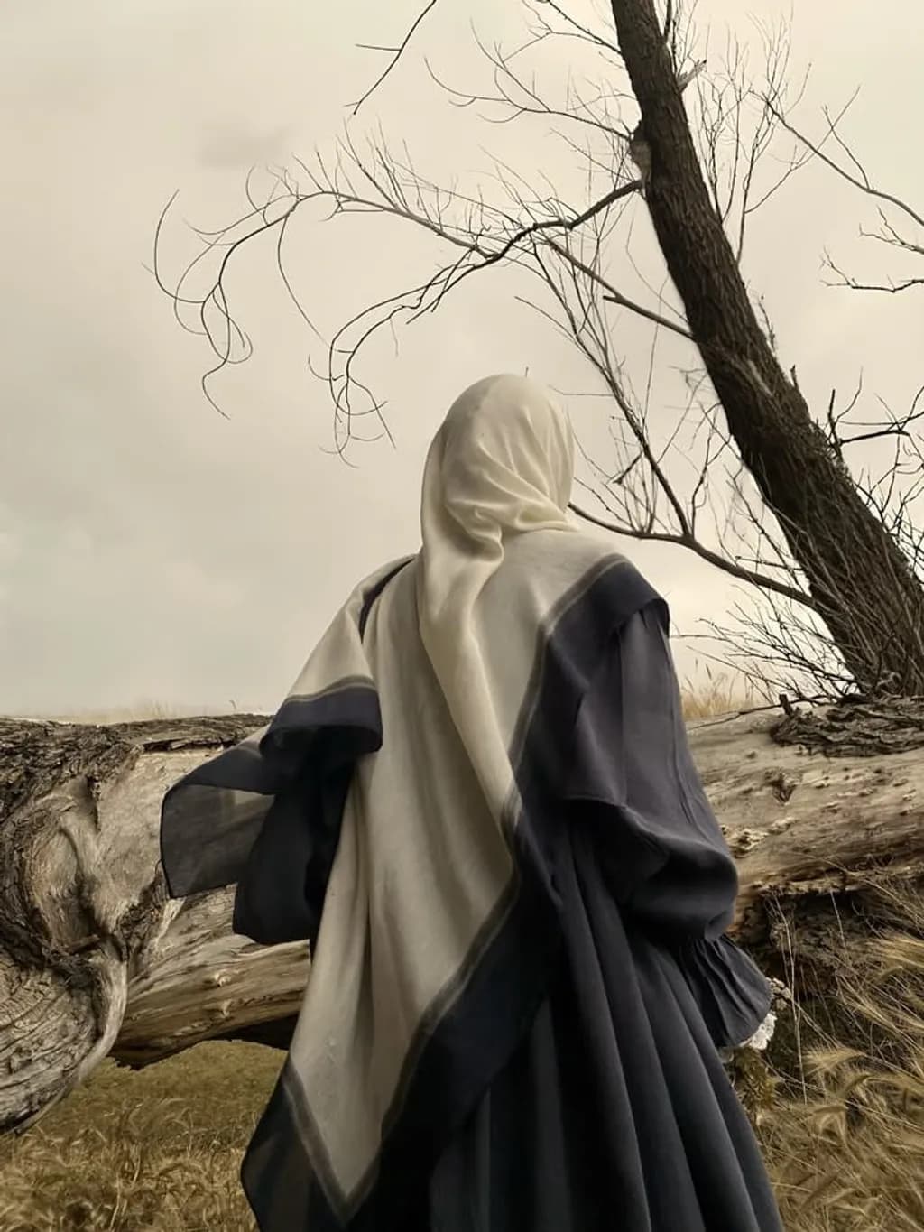 Figure by Fallen Tree
