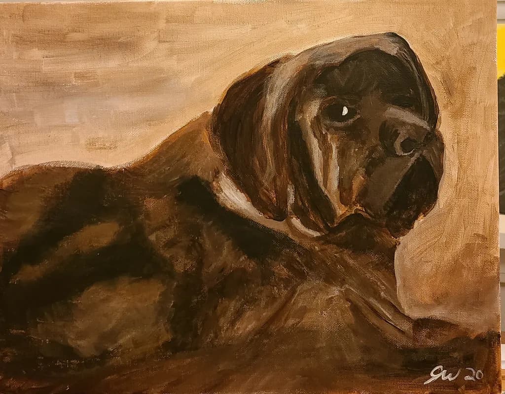 Inbound Dog Portrait