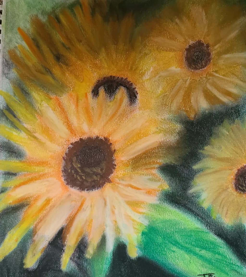 Sunflower Glow