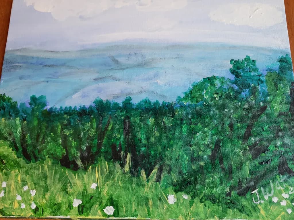 Mist over Forest Edge