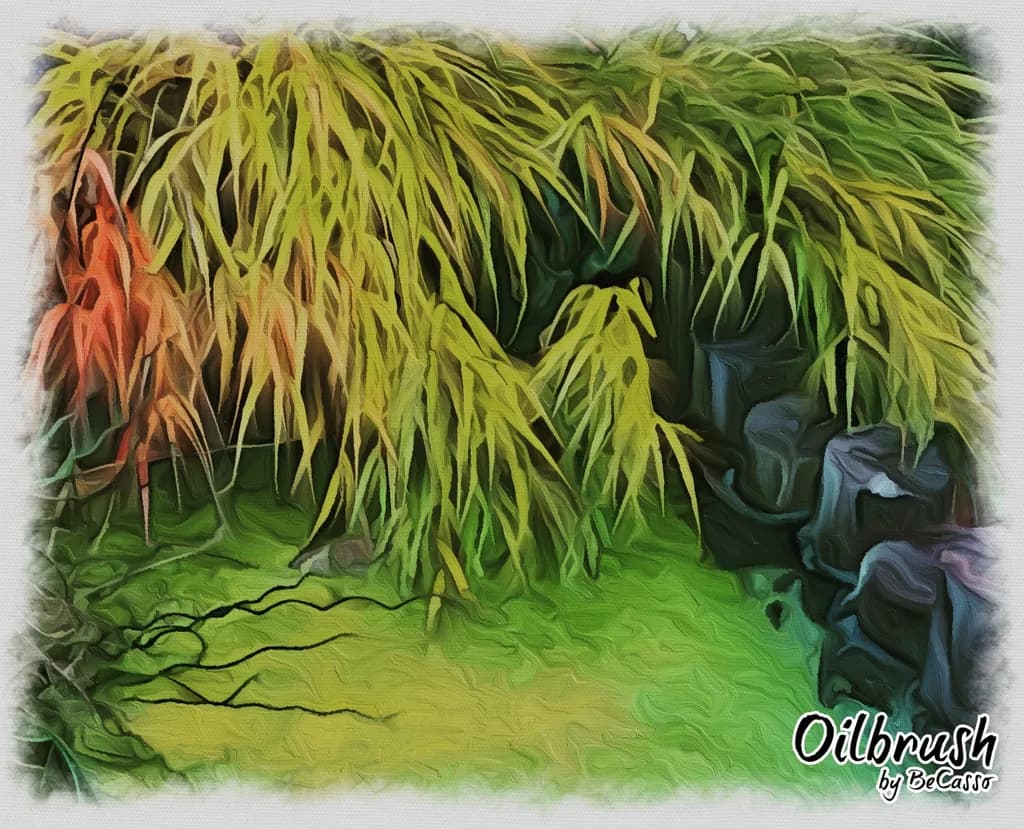 Bamboo Grove