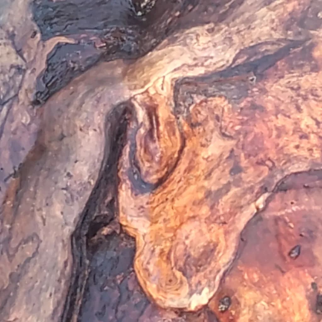 Abstract Wood Grain