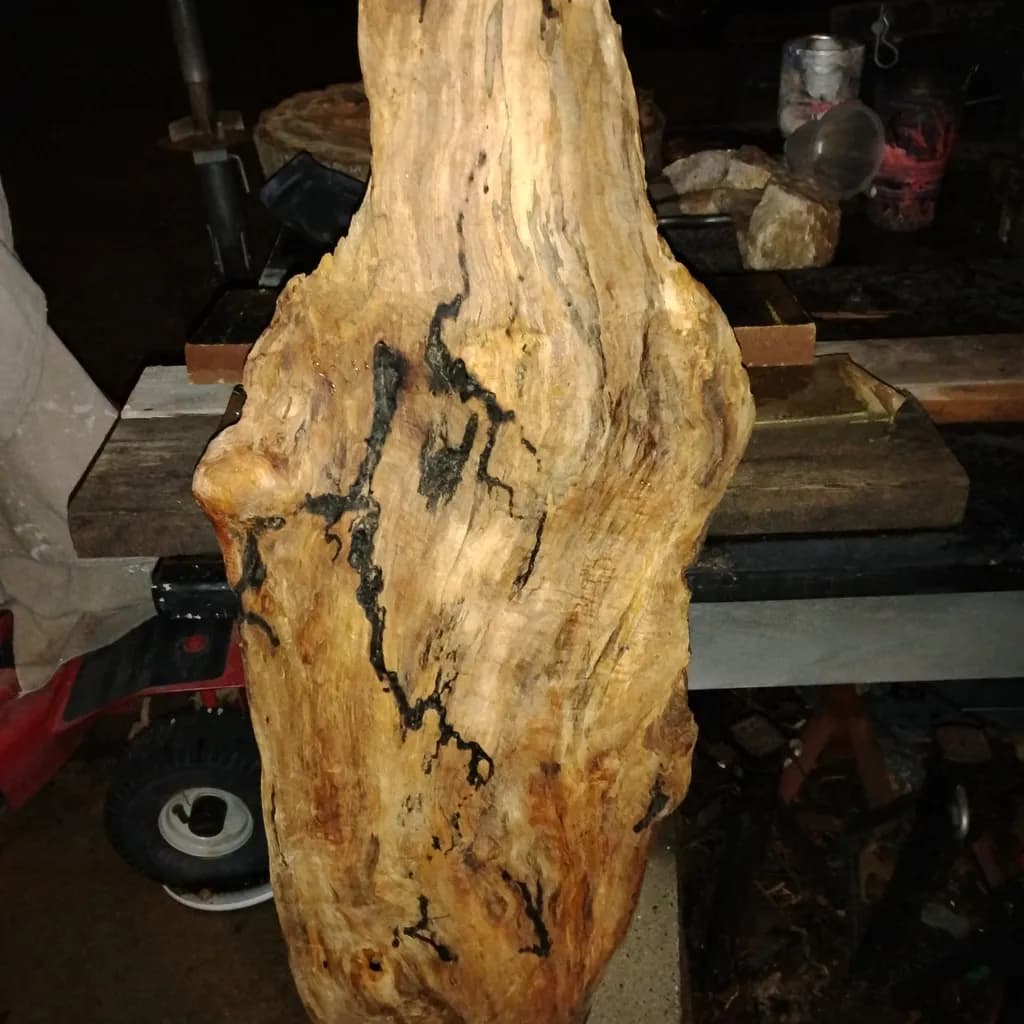 Wood Grain Texture