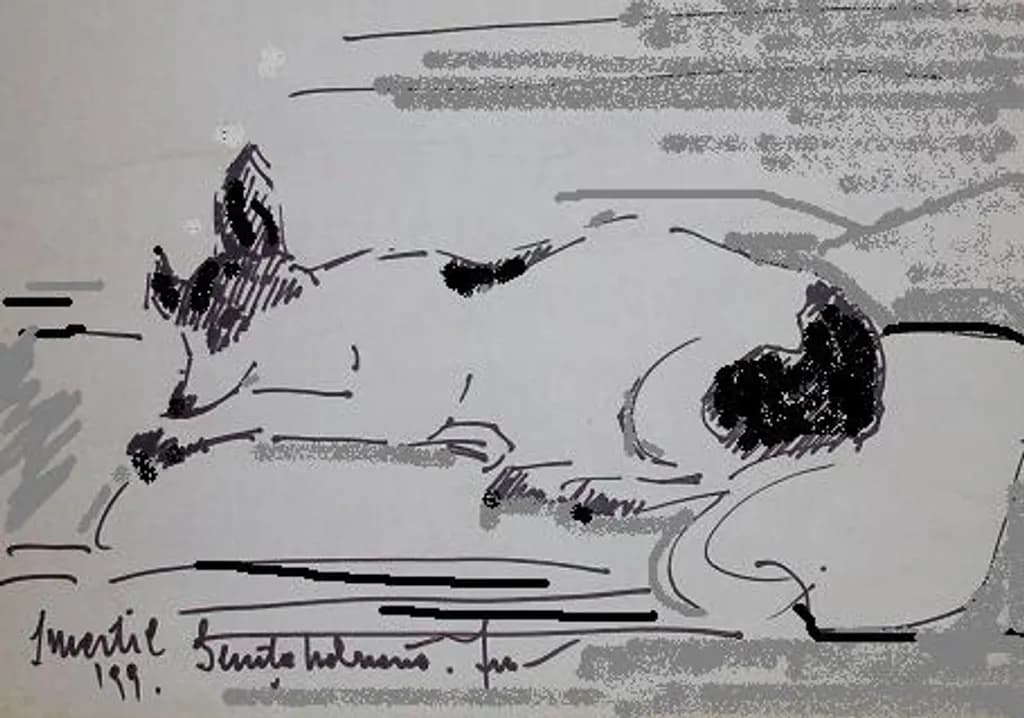 Resting Dog Sketch
