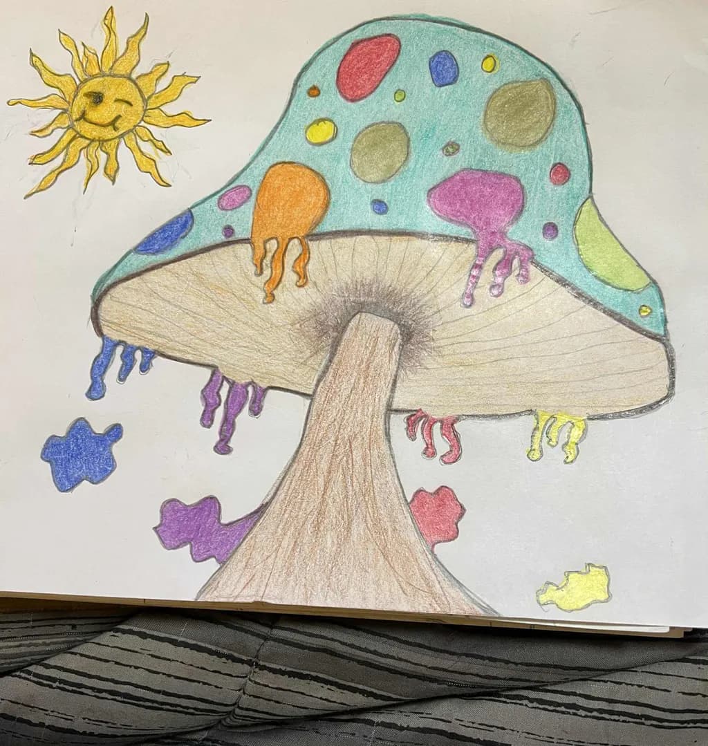 Colorful Mushroom Att