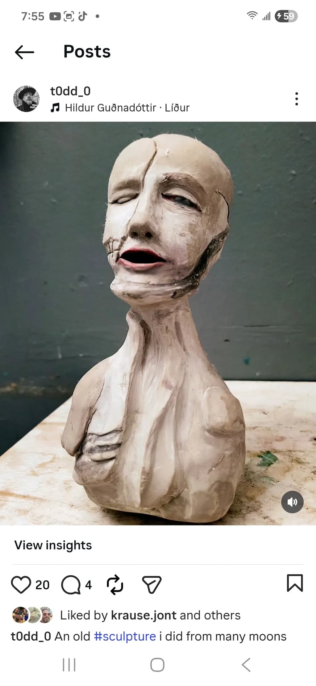Sculpture Expression