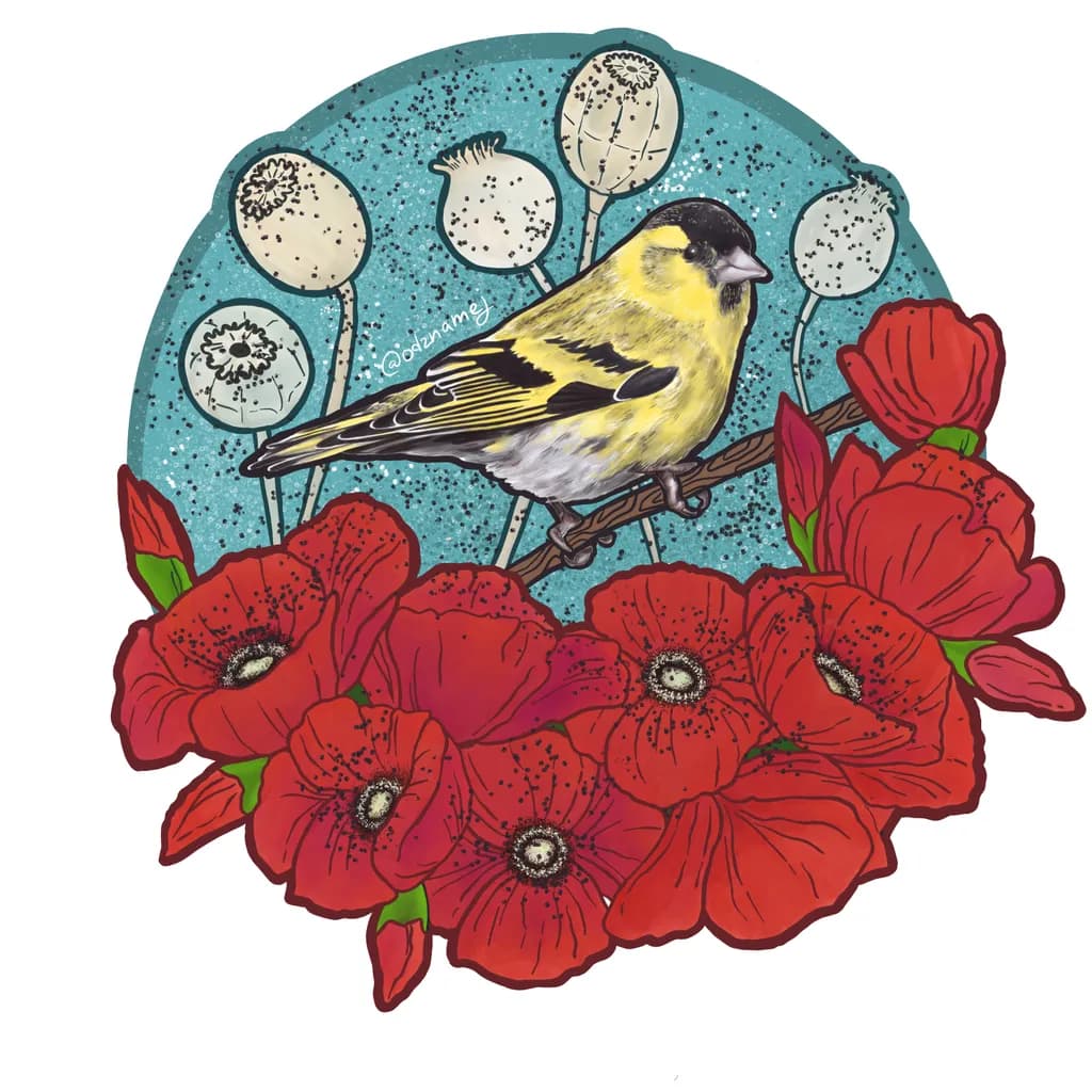 Siskin Among Poppies