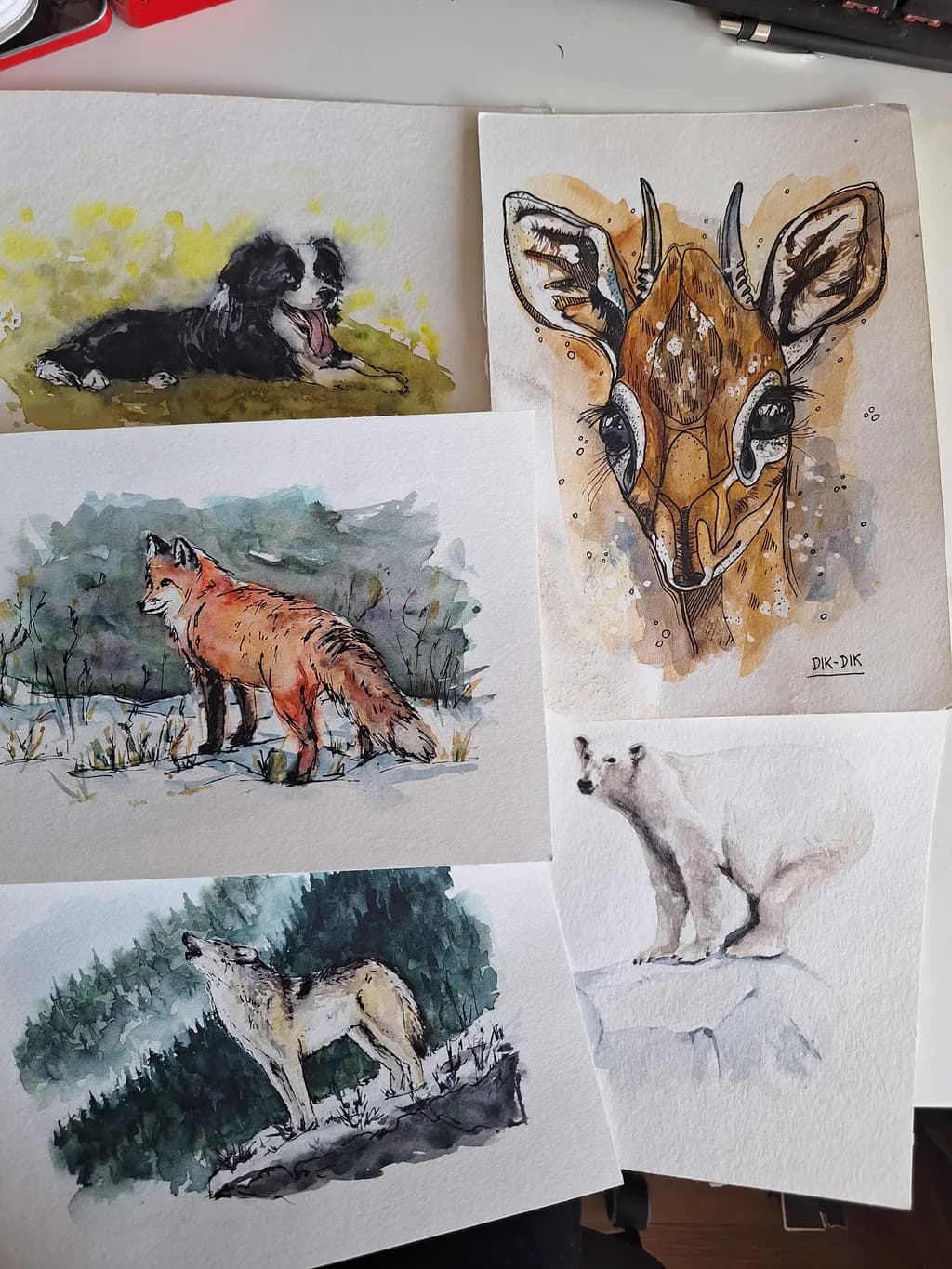 Forest Animals Collection