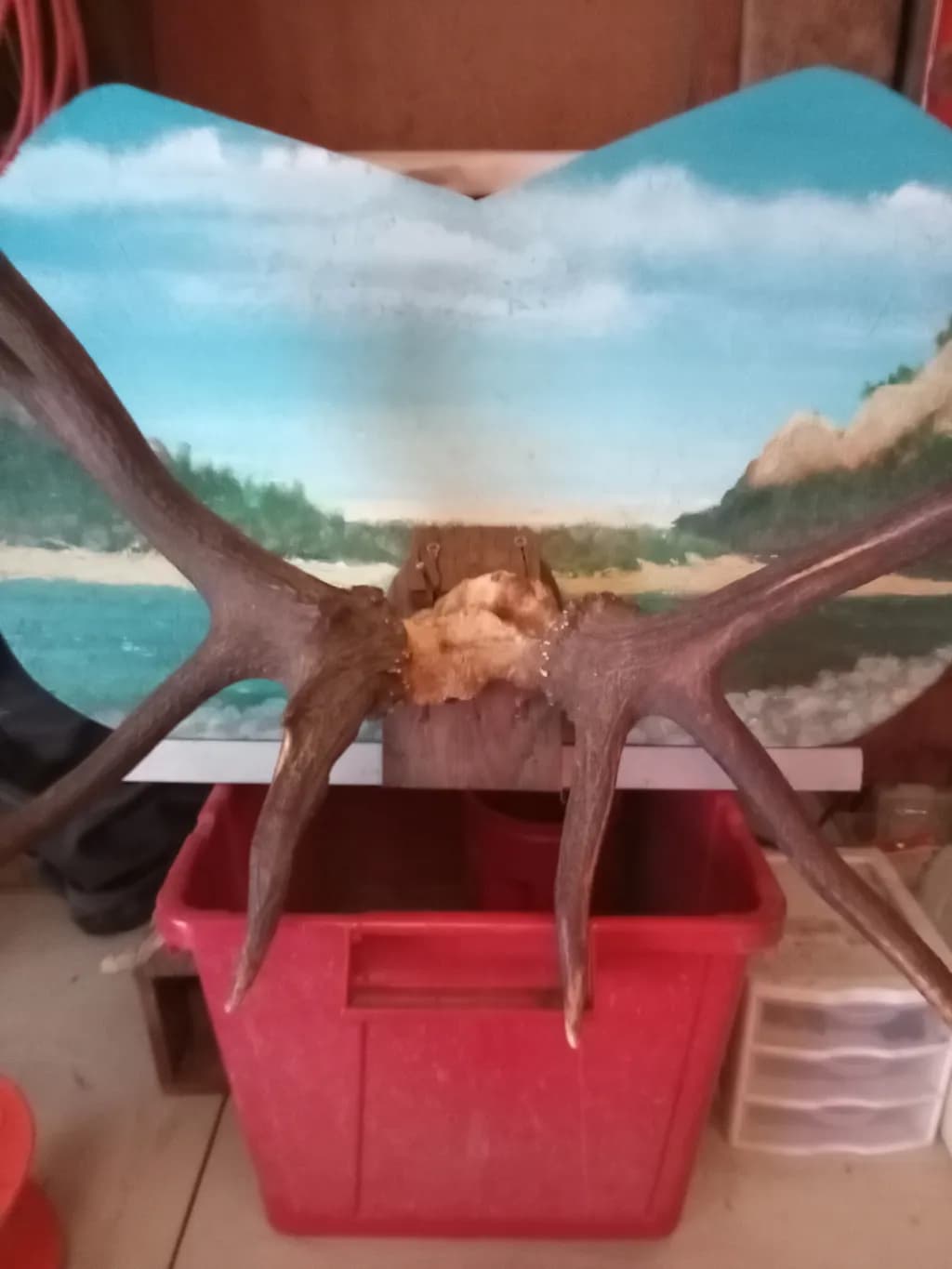 Antlers and Landscape Scene