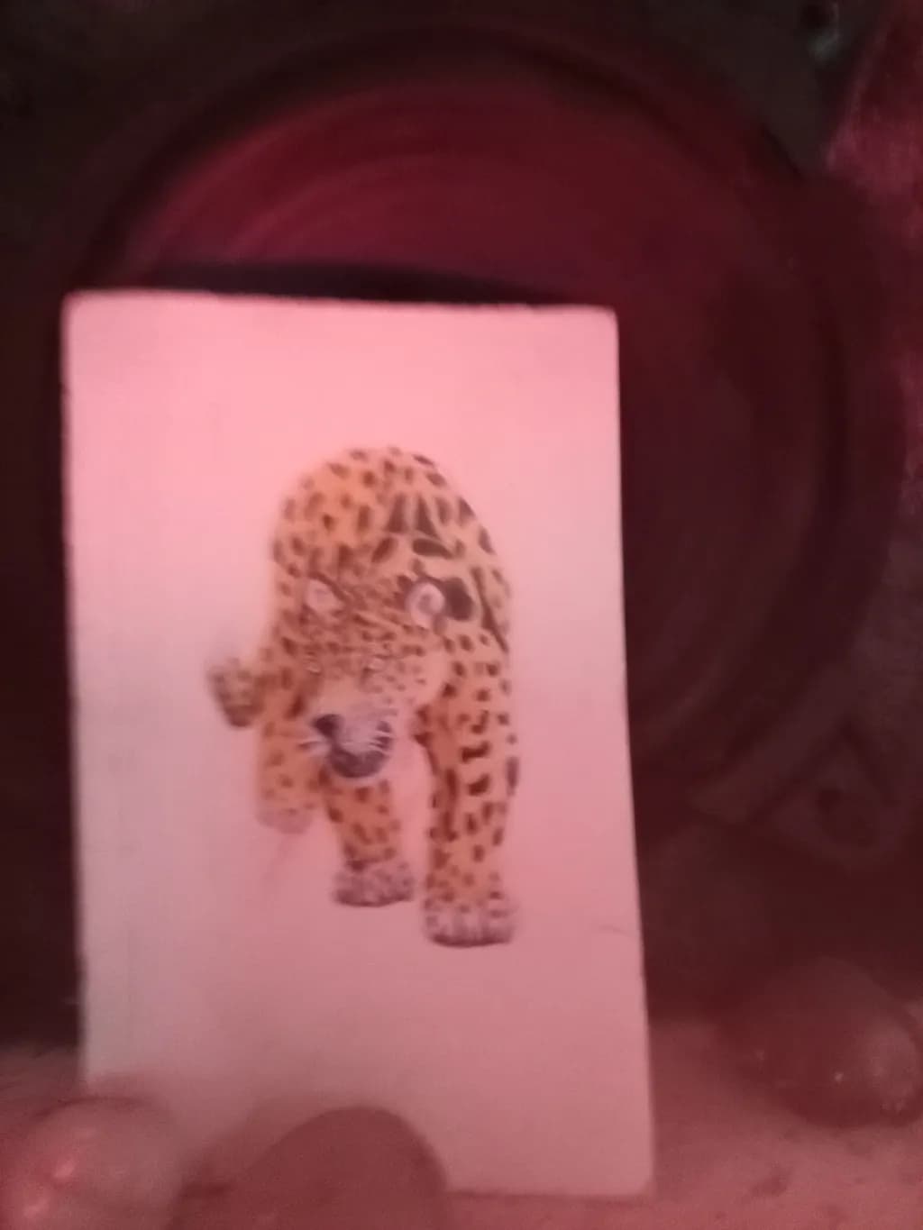Jaguar Illustration