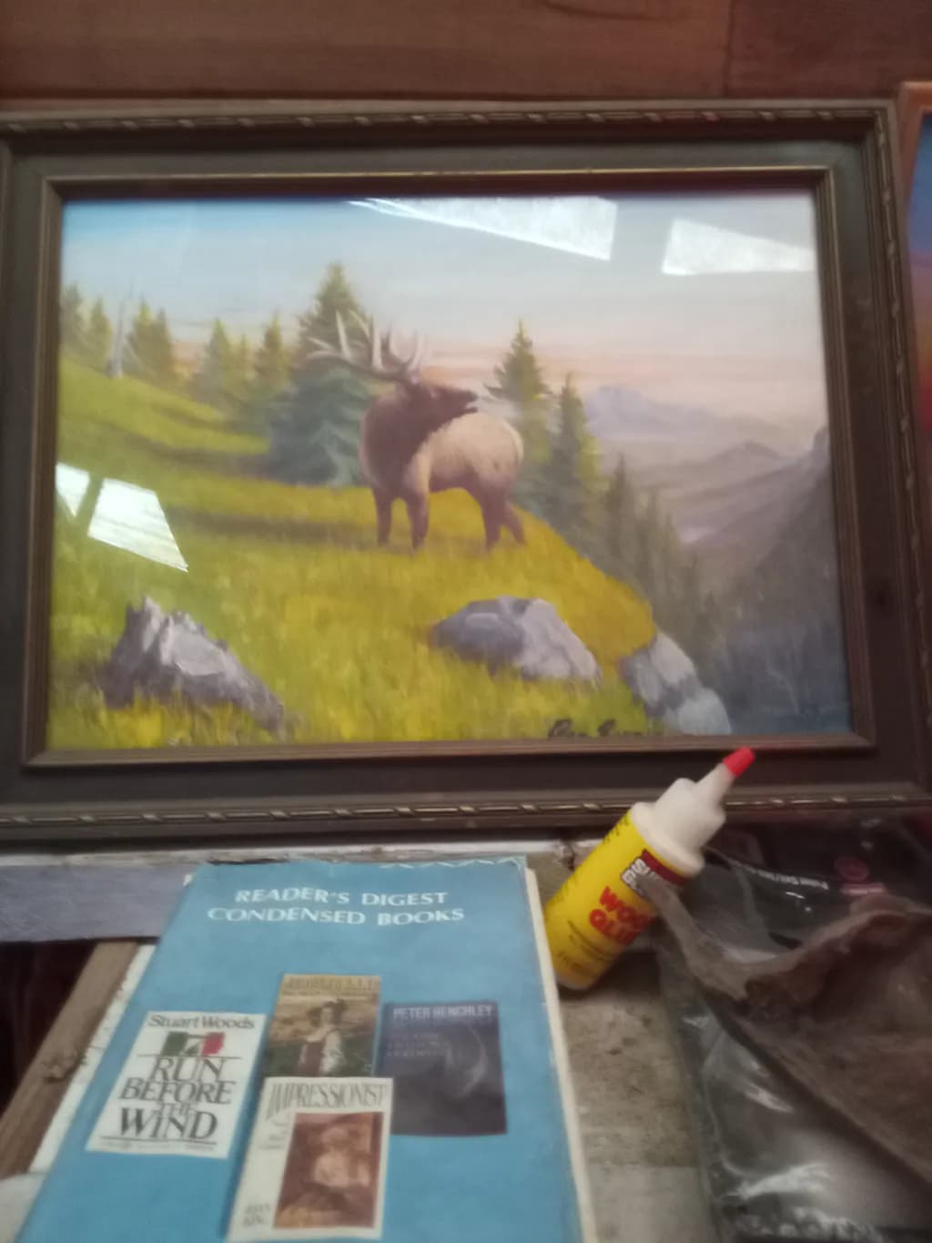 Elk in Mountain Meadow