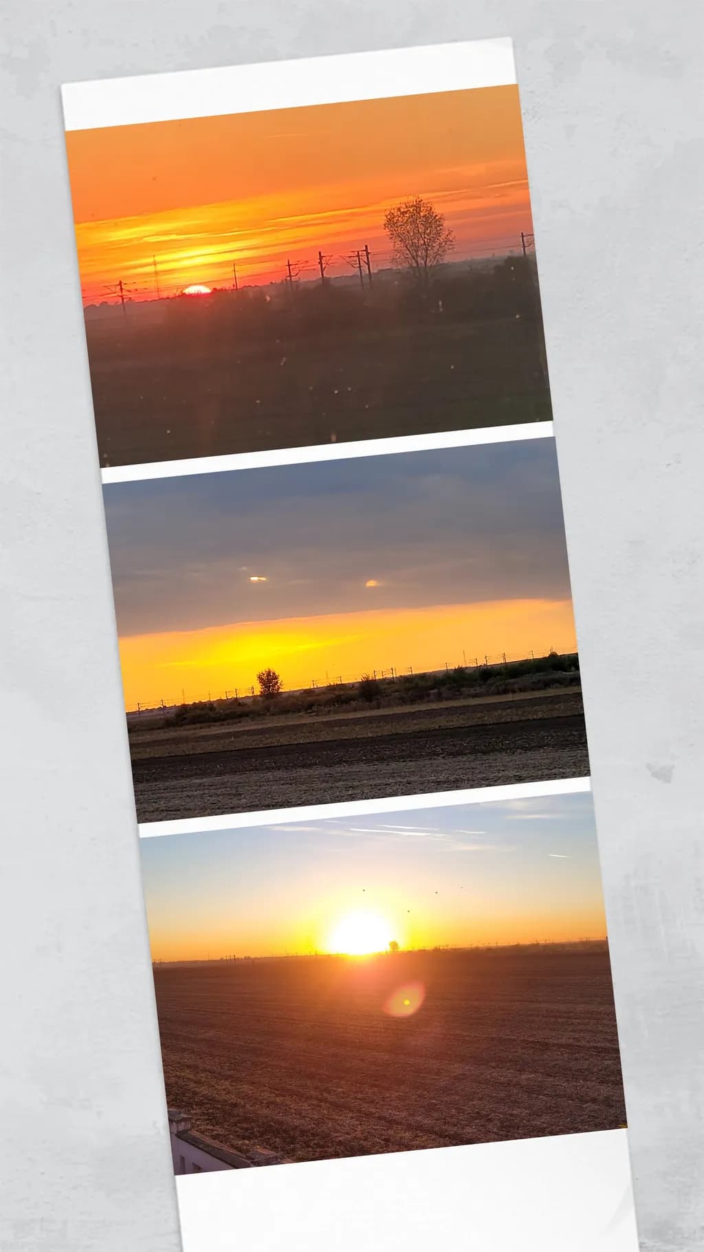 Inbound Field Sunrise