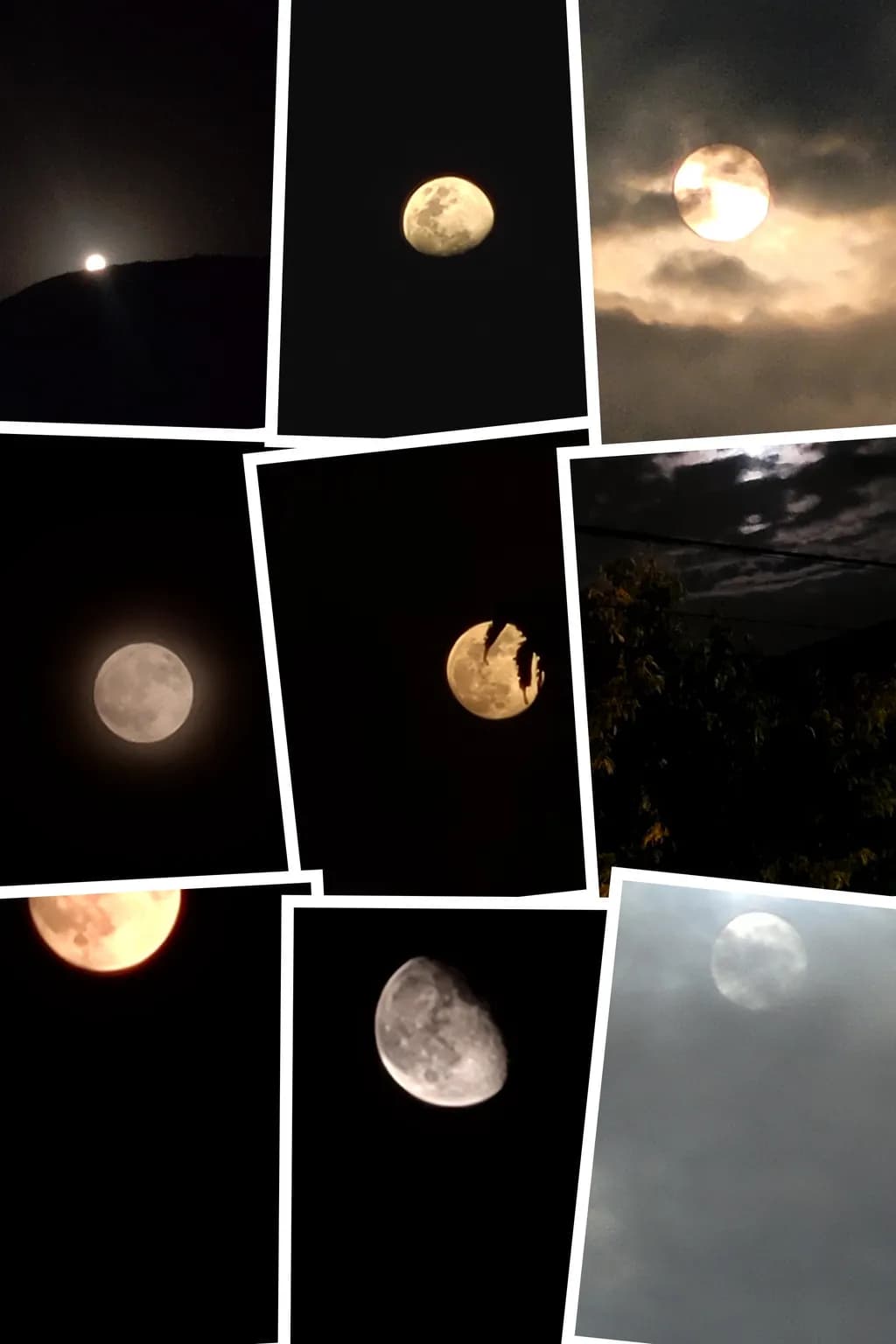 Moonlight Montage