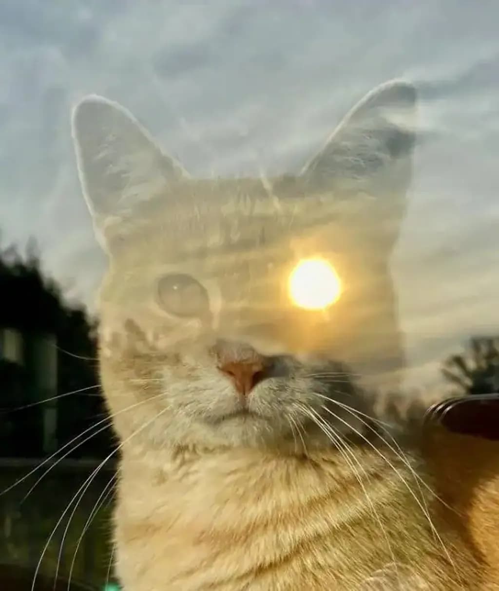 Fusion of Nature and Feline Mystery