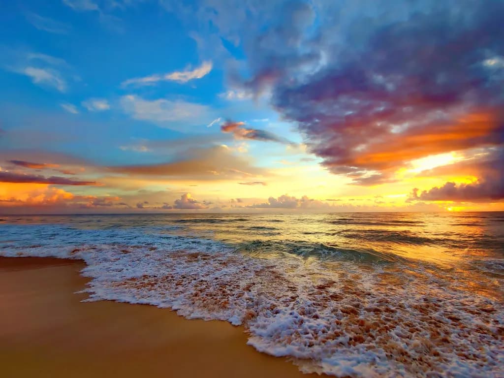 Ocean Sunset Shoreline