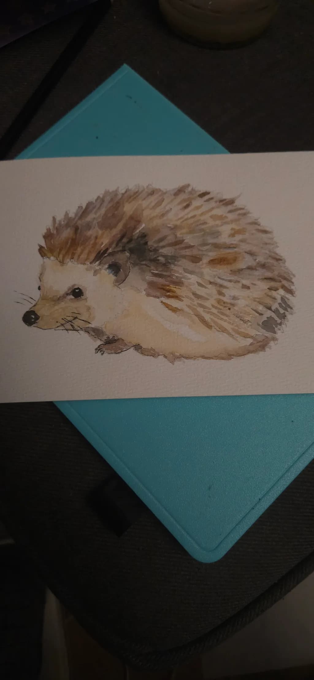 Hedgehog Illustration