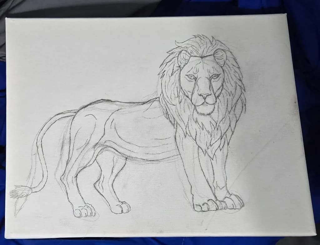 Majestic Lion Sketch