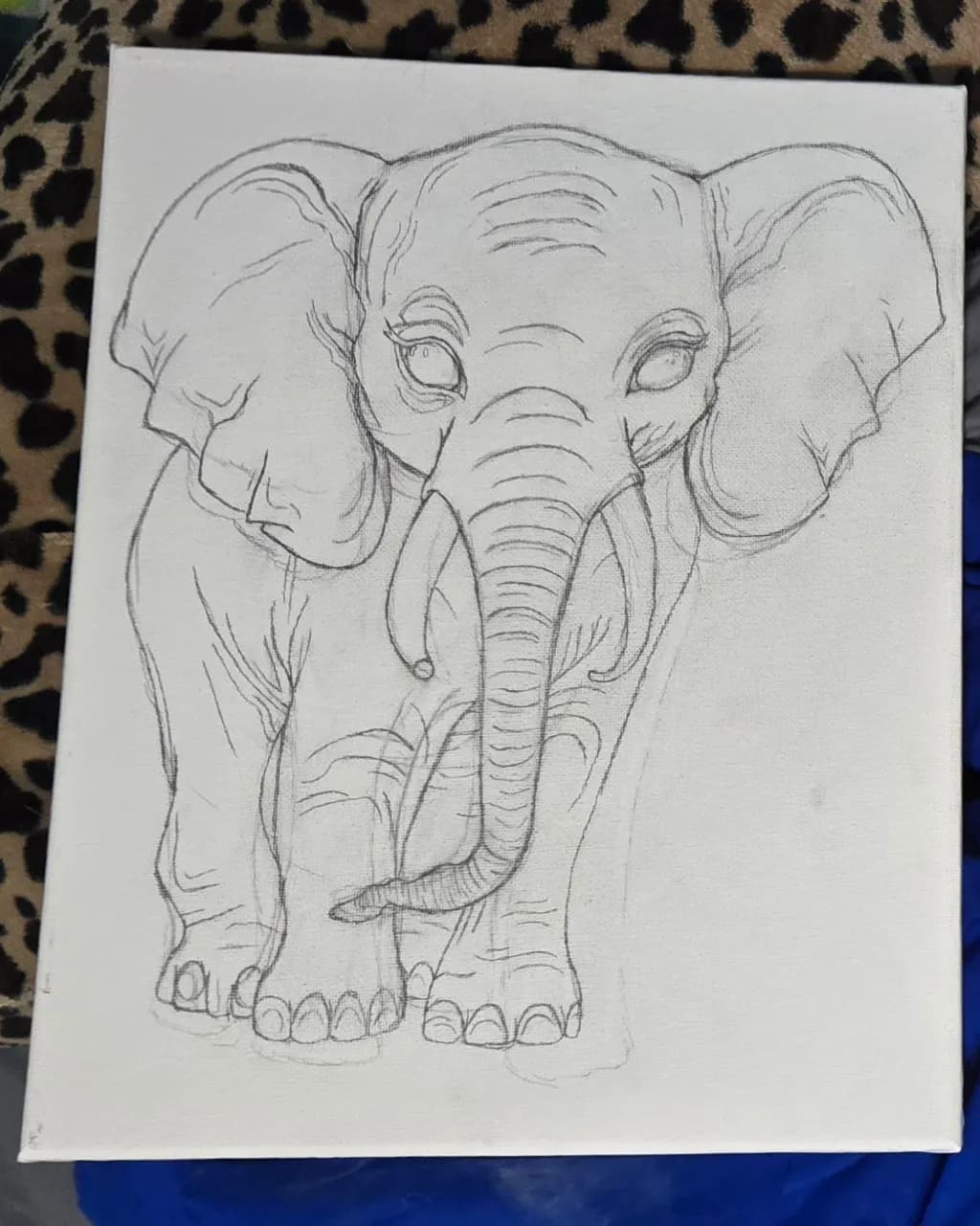 Elephant Outline