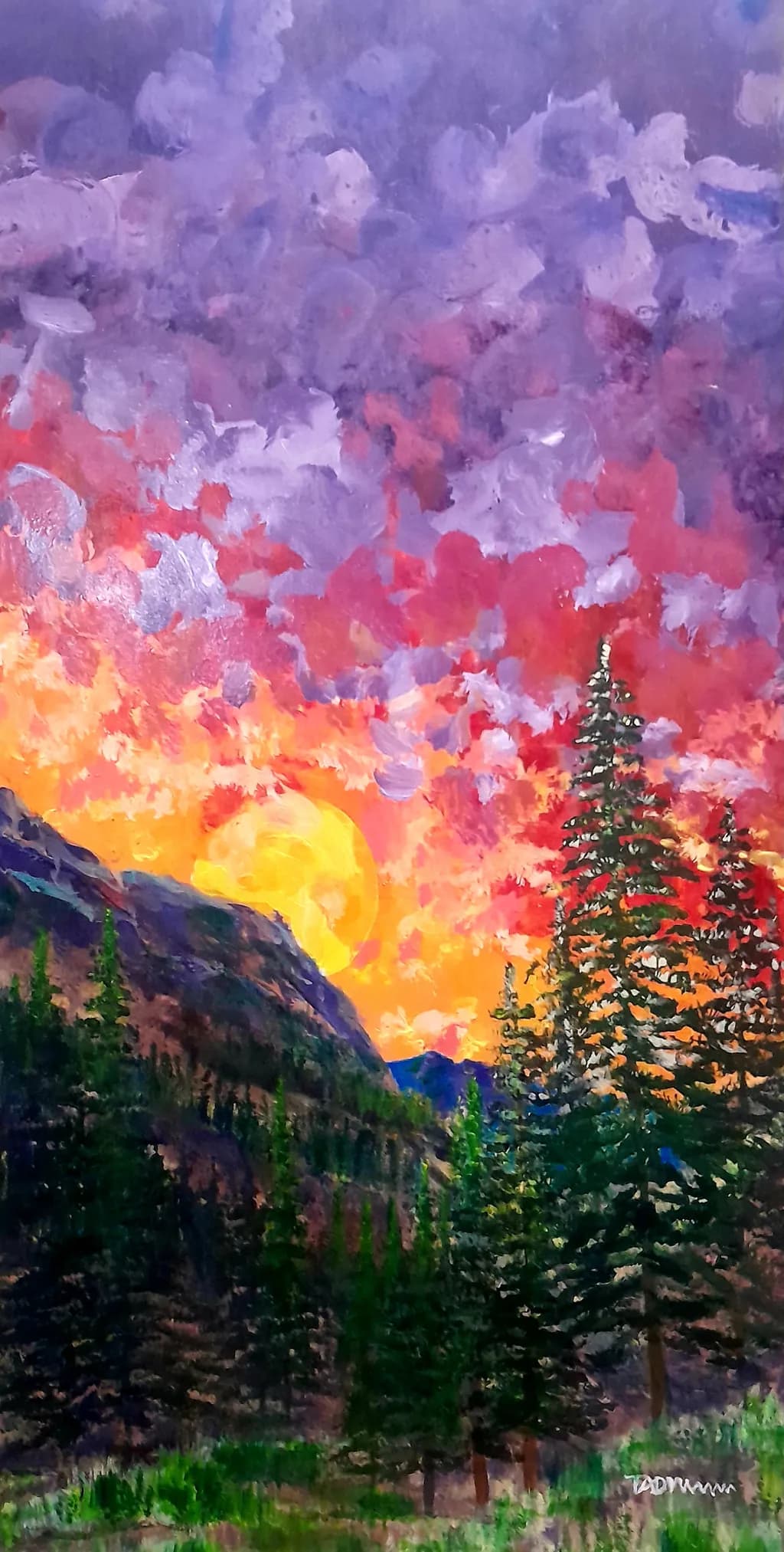 Mountain Sunset Pines