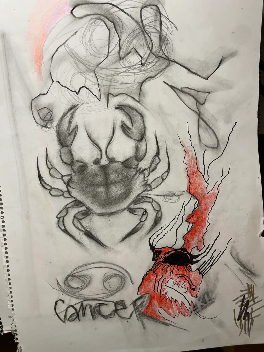 Cancer Crab Sketch