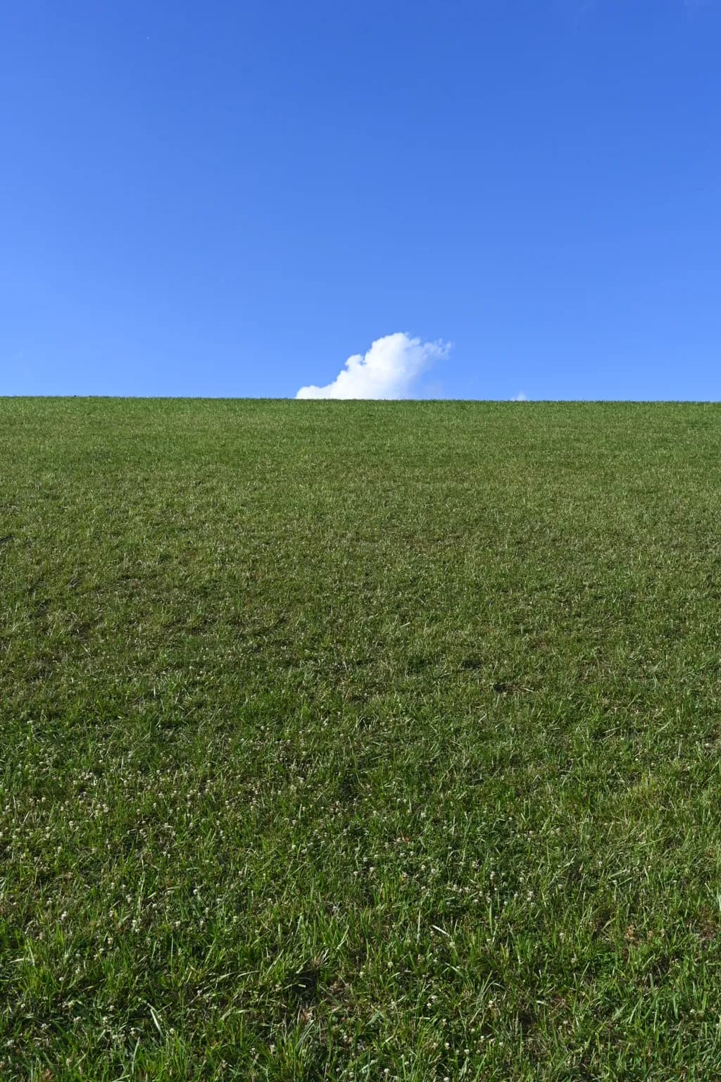 Green Hill Sky