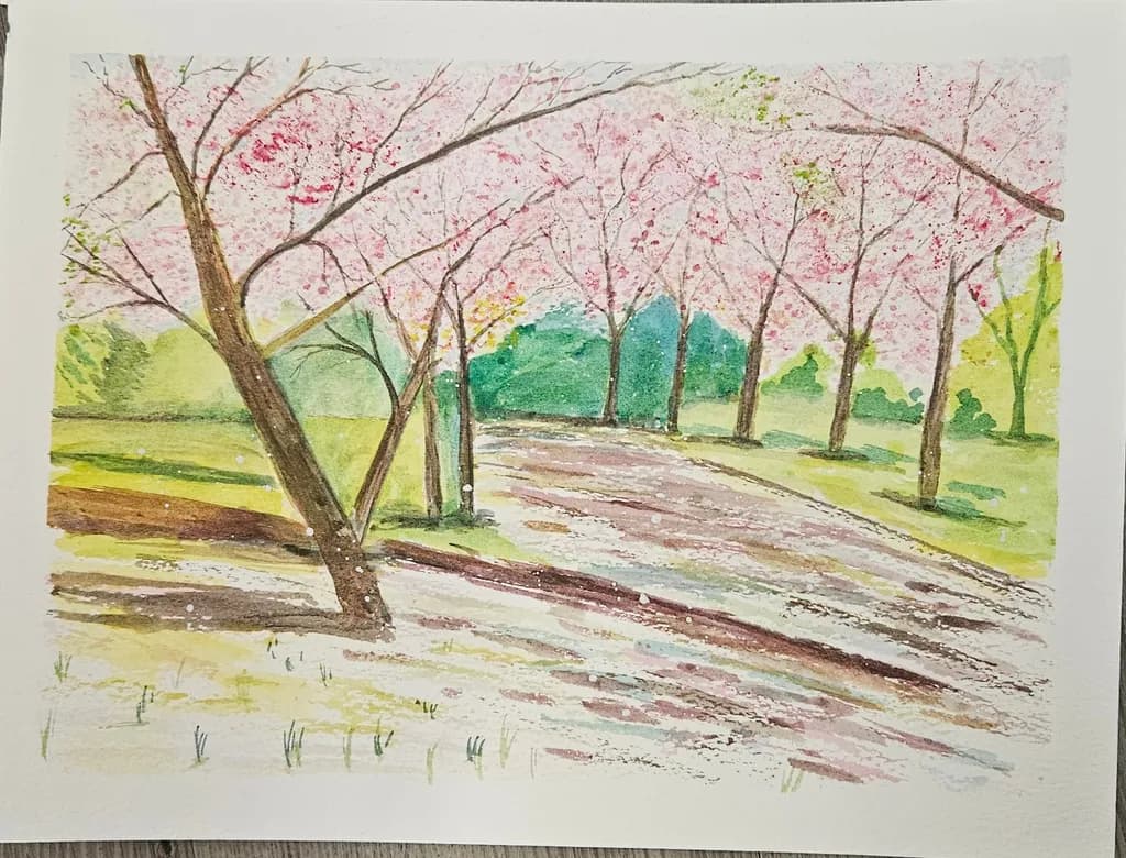 Cherry Blossom Path