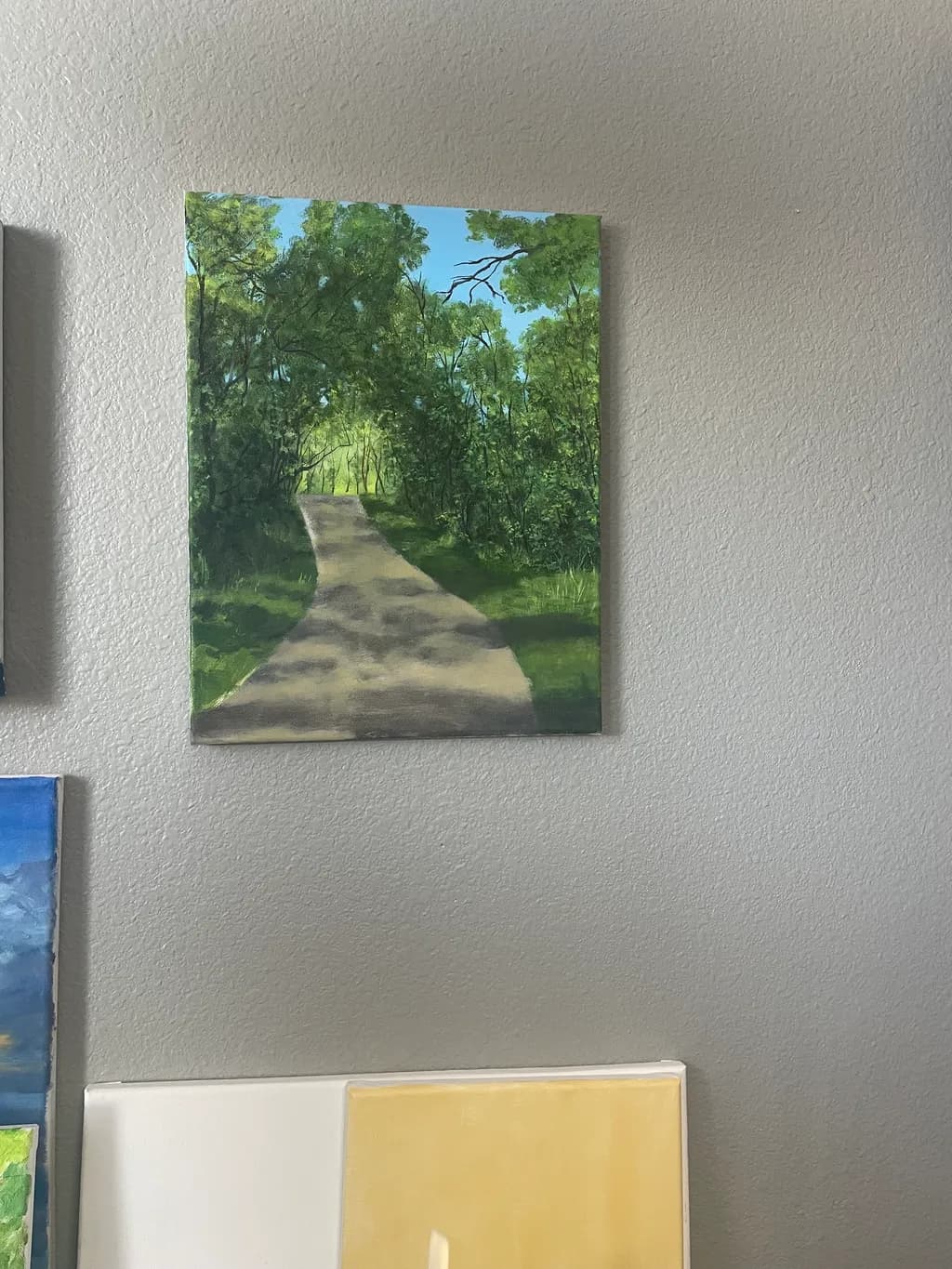 Shaded Forest Path