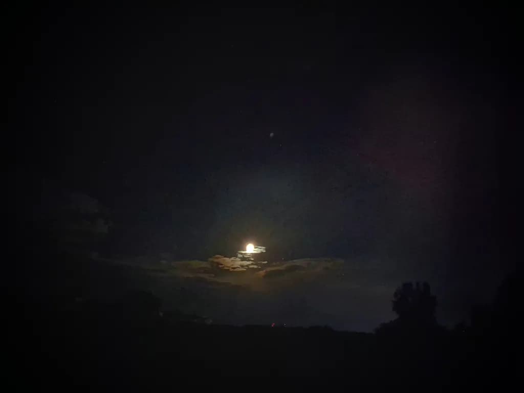 Moonlit Sky