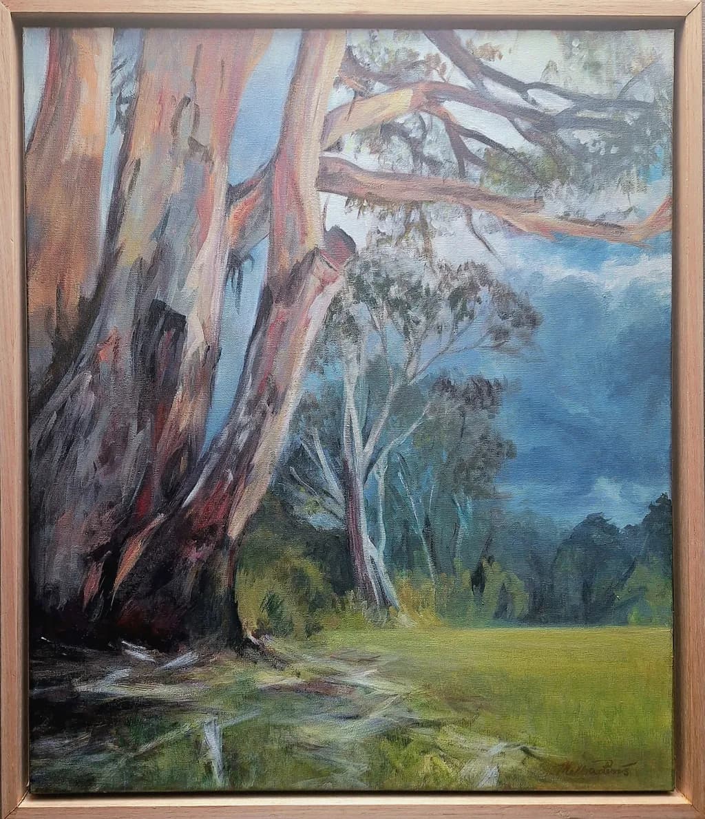 Forest Landscape View