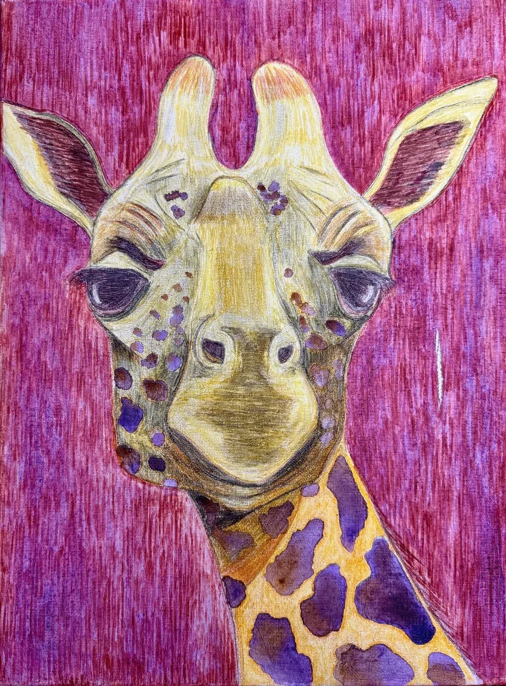 Giraffe Portrait