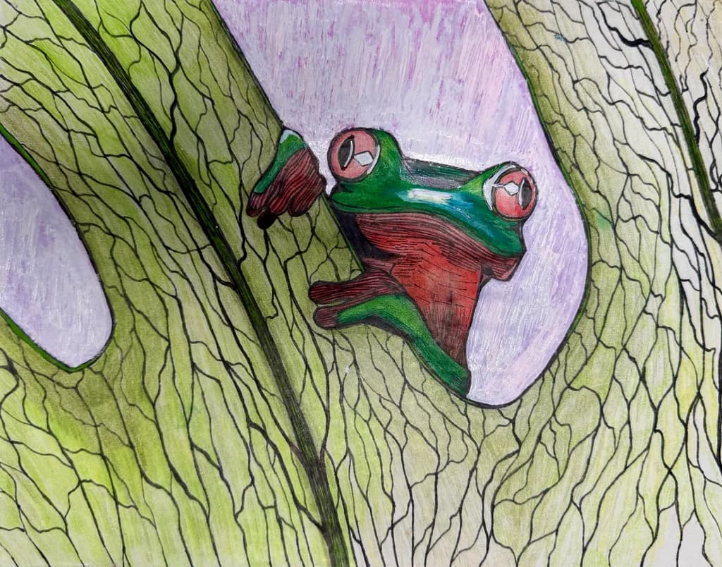 Tree Frog Perch