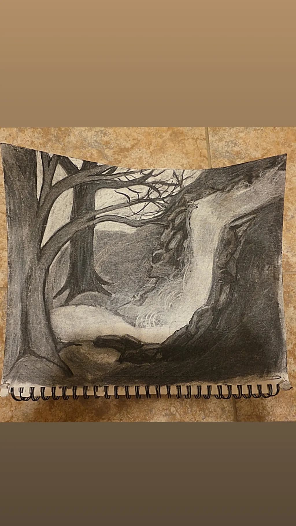 Forest Waterfall Scene