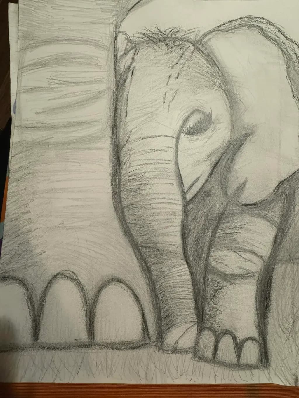 Elephant Family Sketch