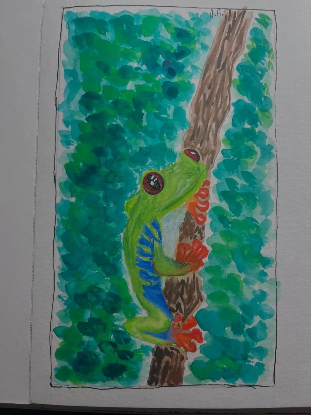 Tree Frog Climb