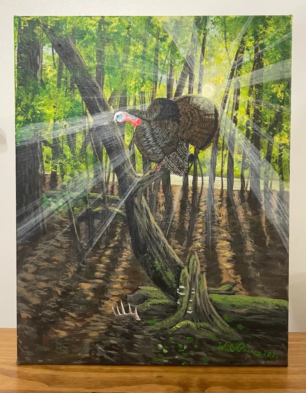 Turkey in Forest Light