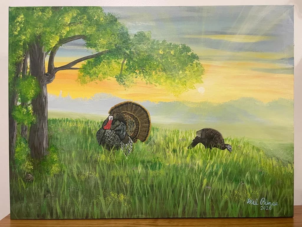 Turkey Meadow Sunrise
